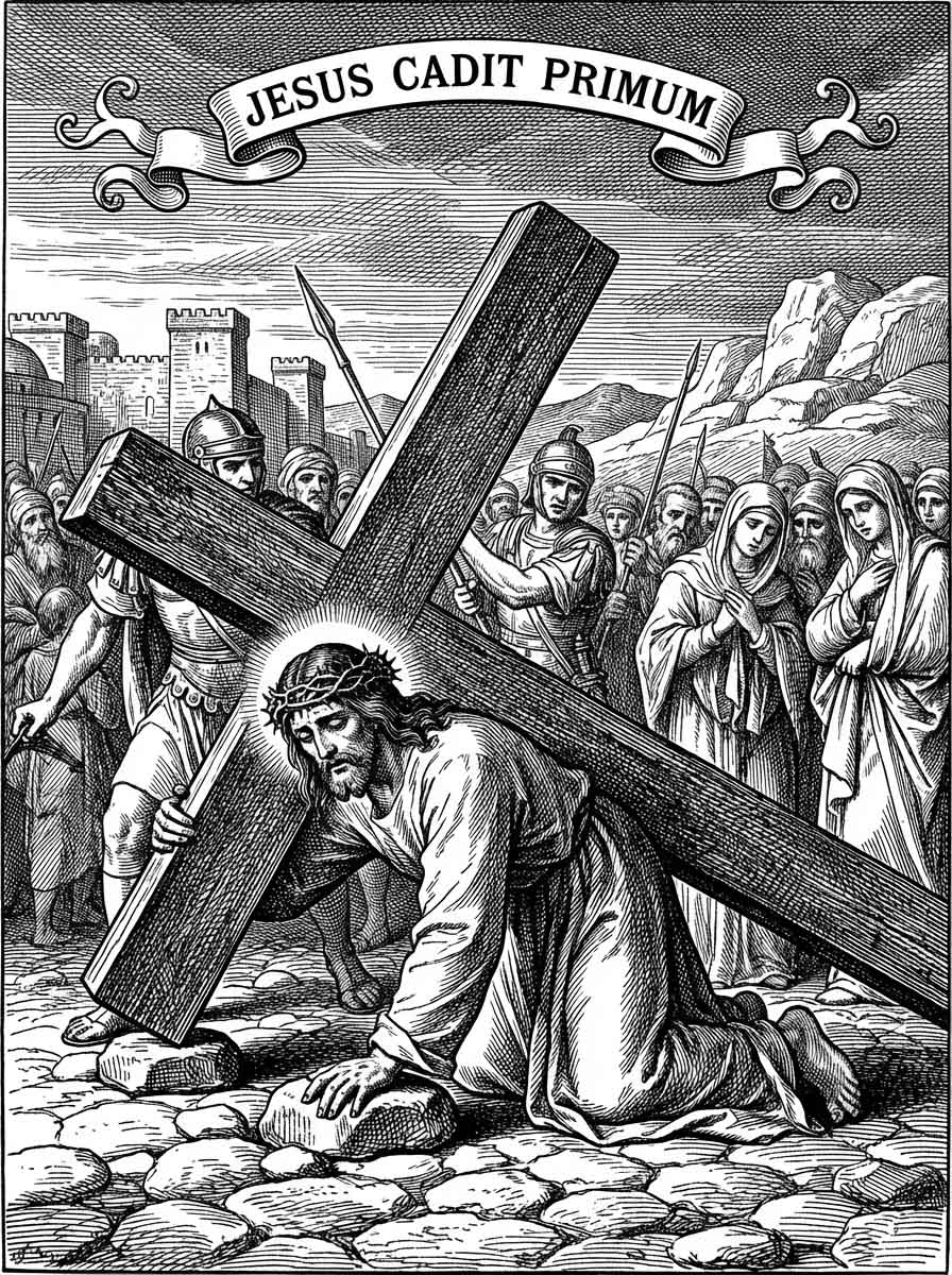 Station 8 - Series 2026